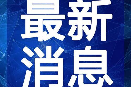 逗哥粉丝爆料视频大全最新,精彩瞬间回顾